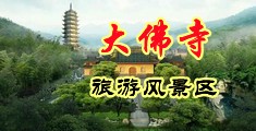 男人插骚B中国浙江-新昌大佛寺旅游风景区